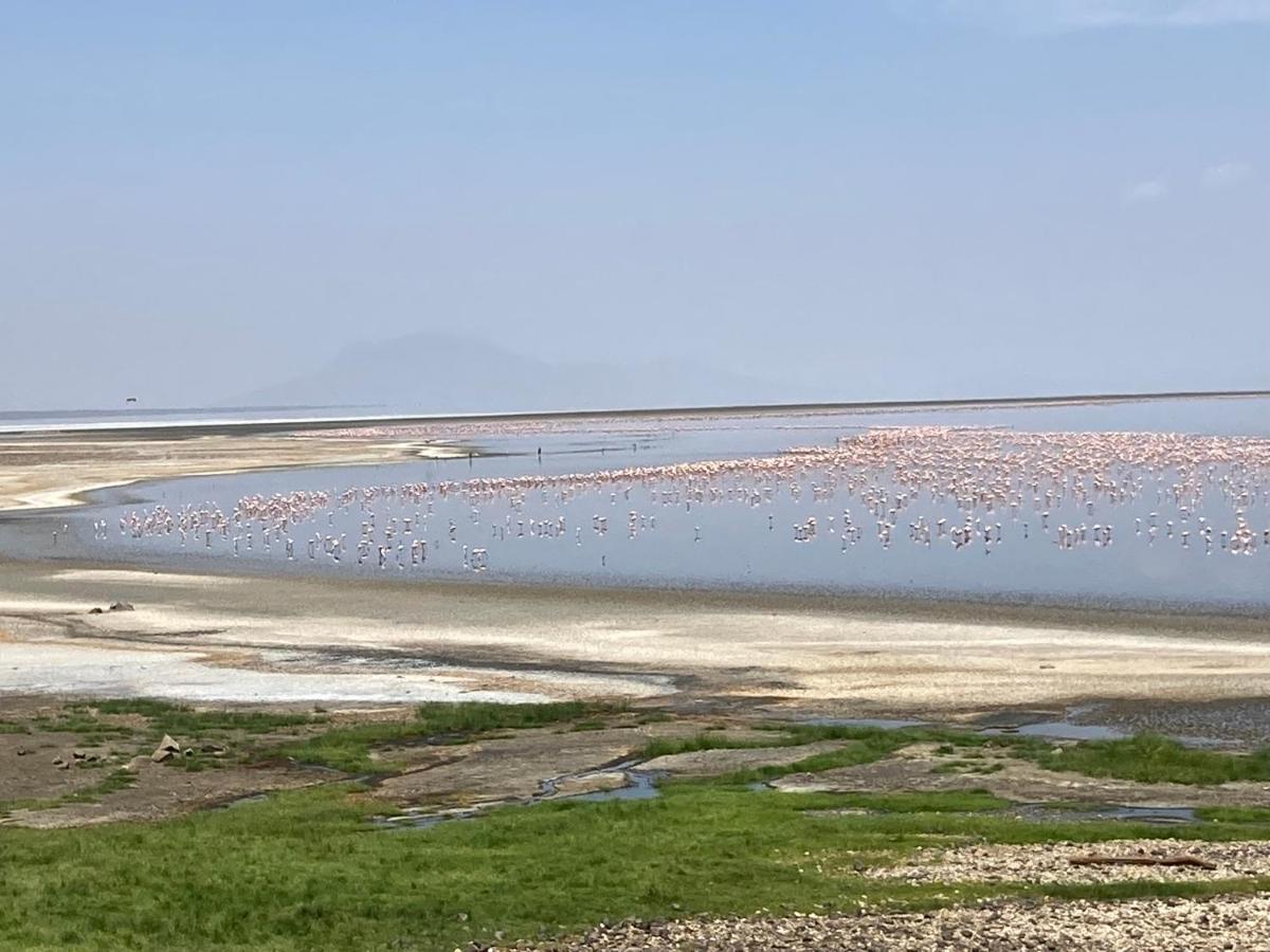 Lake Natron Maasai Guesthouse Mtowabaga Ngoại thất bức ảnh