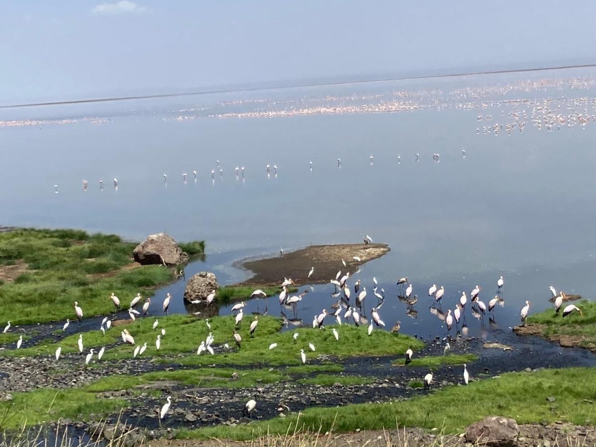 Lake Natron Maasai Guesthouse Mtowabaga Ngoại thất bức ảnh