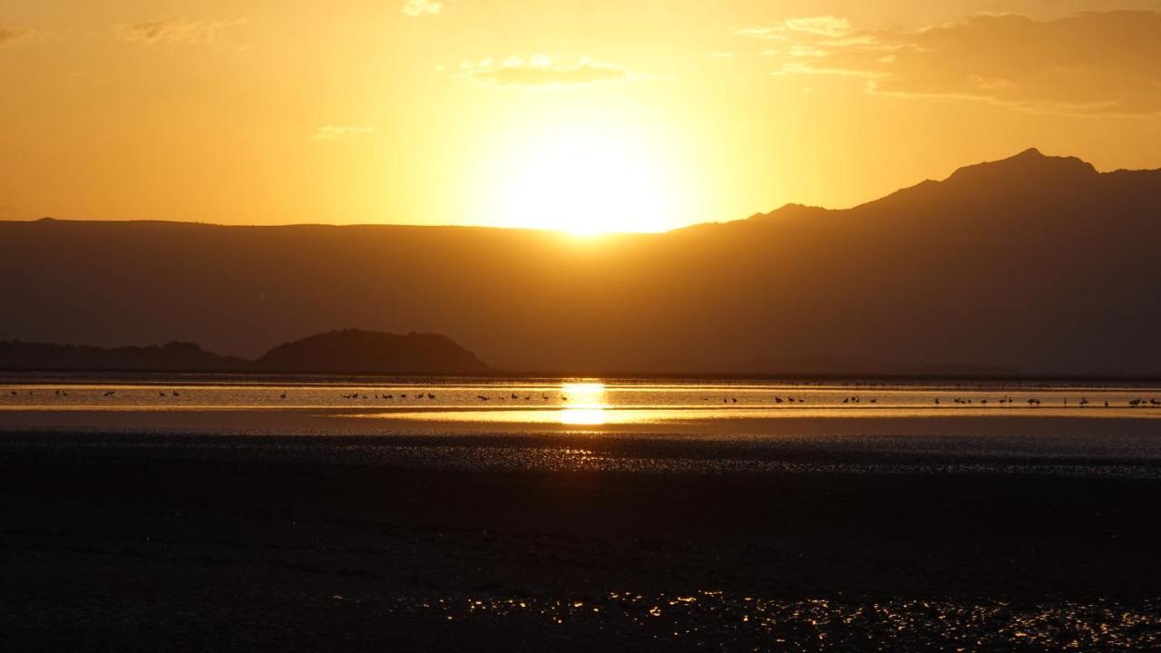 Lake Natron Maasai Guesthouse Mtowabaga Ngoại thất bức ảnh